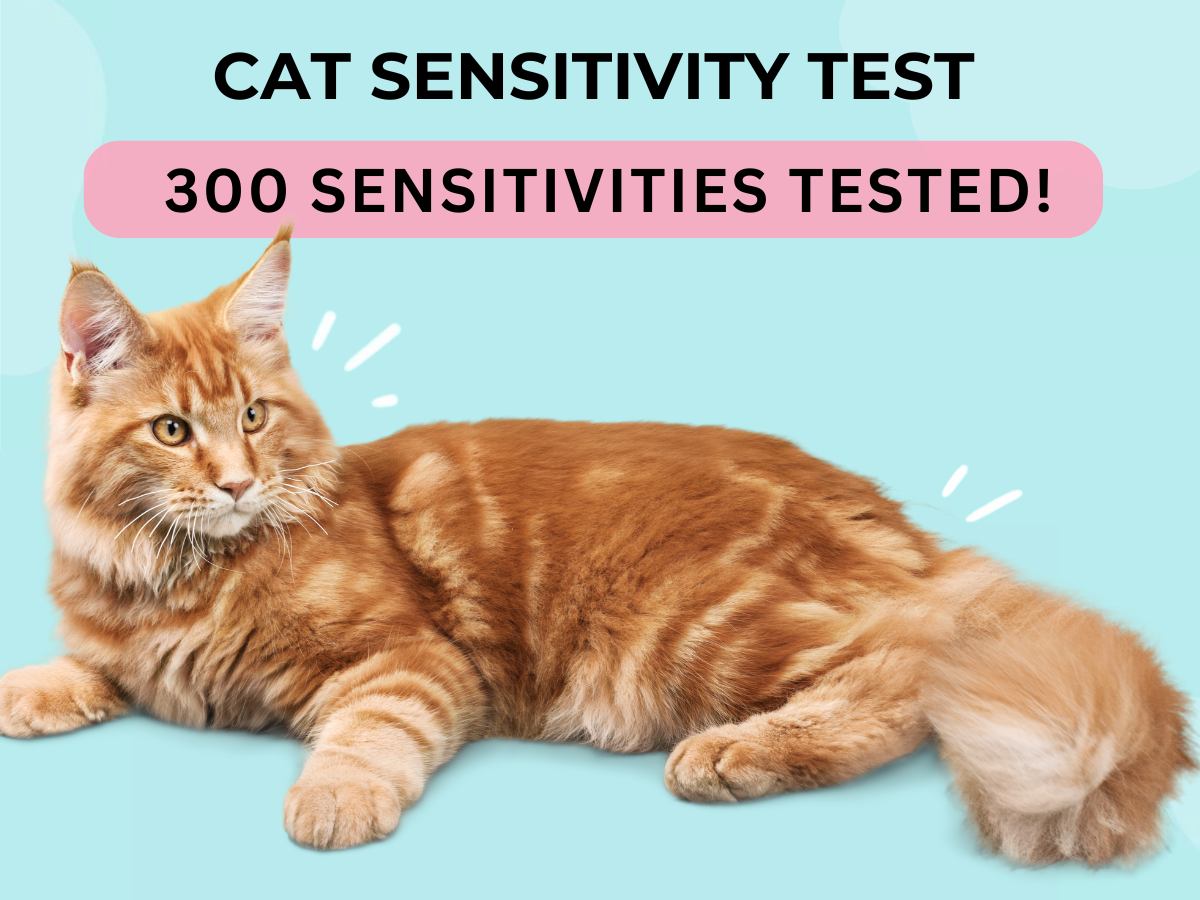 Cat Sensitivity Test